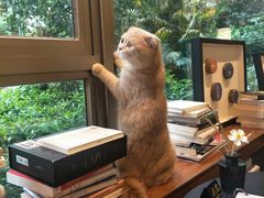 -咖法森林·咖啡  酒吧(天河店)