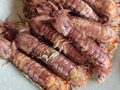 清蒸皮皮虾-雅逸居海鲜小厨