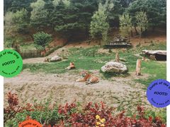 -沈阳森林动物园