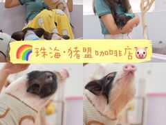 -猪盟咖啡店(玖洲道店)