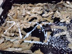 -海鲜e族(马王堆店)