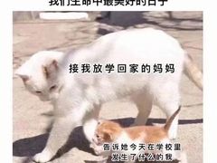 -呆虾王龙虾馆(南湖总店)