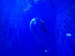 -多彩贵州城极地海洋世界