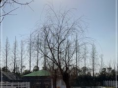 -前小桔亲子创意农场·草莓采摘·露营烧烤
