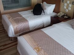 -电谷雅阁国际大酒店