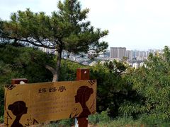 -北岭山森林公园