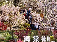 -海棠花溪(元大都城垣遗址公园)