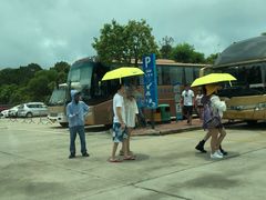 -广东惠东海龟国家级自然保护区