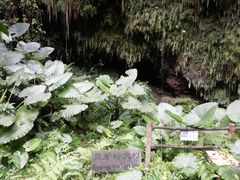 -海口火山口国家地质公园