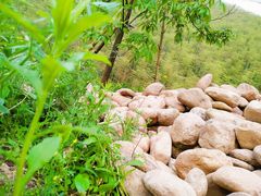 -将军关探险漂流