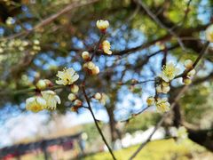 -白马涧龙池景区