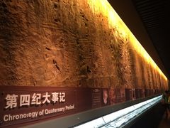 -大庆市博物馆