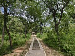 -青龙山国家森林公园