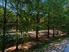 -白水寺森林公园
