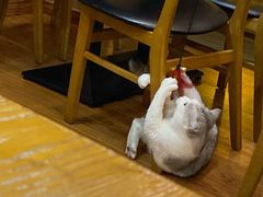 -寿喜屋日式定食