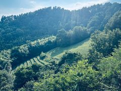 -敬亭山风景名胜区