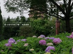 -西安博物院