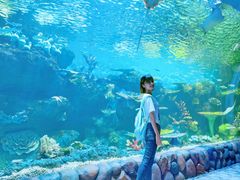 -华夏文旅海洋公园