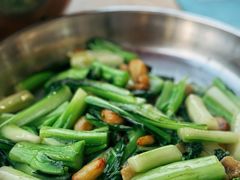 生炒菜心-夏茅维记饭店