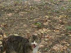 -酷鱼垂钓CLUB(朝阳区博大路店 )