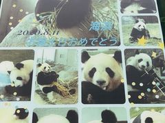 -黔灵山公园