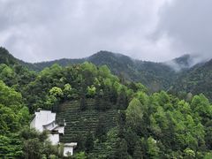 -新安江山水画廊风景区