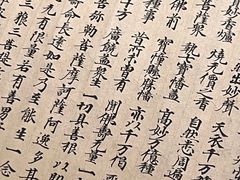 -四川大学博物馆