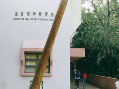 -大埔公路-马料水段香港中文大学(公交站)