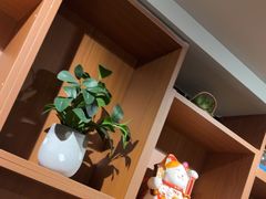 -梵猫·新养生(福州万象城店)