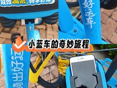 -海合安武汉极地海洋公园