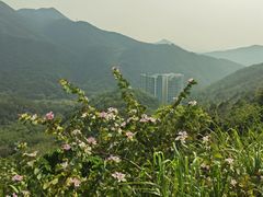 -梧桐山风景名胜区