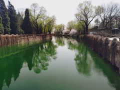 -颐和园