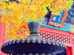 -香山公园