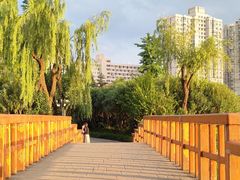 -黄兴公园
