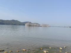 -东湖落雁景区