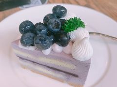 -gaga(深圳南山益田假日广场店)