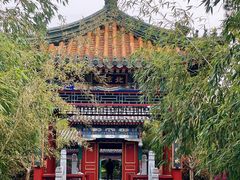 -武汉园博园(武汉自然博物馆)