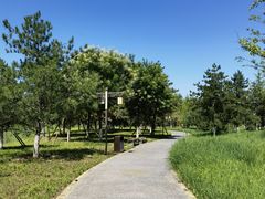 -张家湾公园