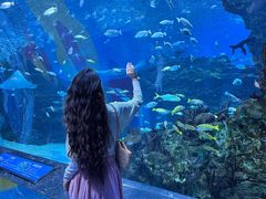 -海合安成都极地海洋公园