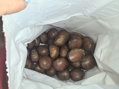 -杨记板栗(天虹总店)