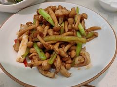 XO酱爆白玉菇虾仁-大树餐厅(红旗街万达店)