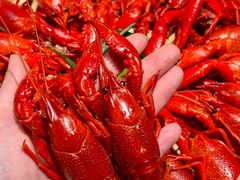 -上名堂·鱼头好吃(体育场路店)