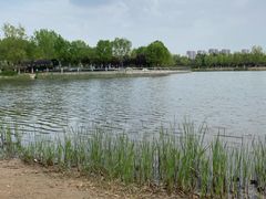 -永定河休闲森林公园