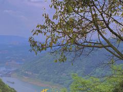 -铁山坪森林公园