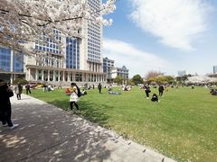 -复旦大学光华楼