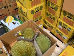 -上海龙吴水胜海发市场