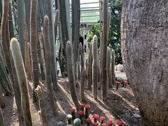 -南山植物园