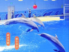 -石家庄极地海洋世界
