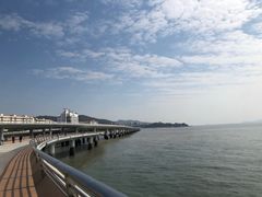 -演武大桥观景平台