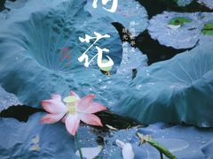 -绍兴东湖风景区